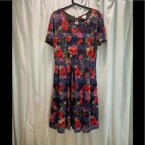 Lularoe 2X Amelia EUC
Navy blue background